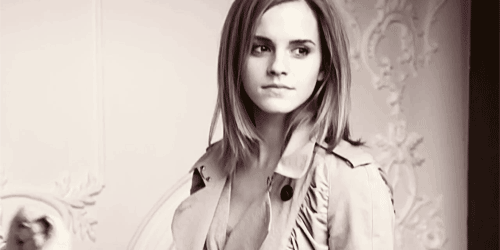 39269551c8c273cec83fc3010588efc4